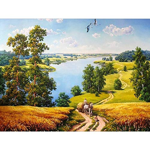Aidemei Diamond Embroidery Diamond Painting Countryside Landscape Full Drill 5D DIY Picture of Rhinestone Diamond Mosaic Landscape Round 11.8X15.7Inch