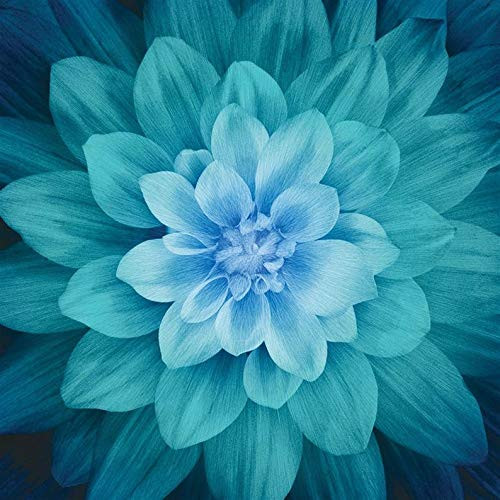Dream Big~ Teal Digital Floral Panel 43 inchx 43 inch Hoffman Cotton Fabric