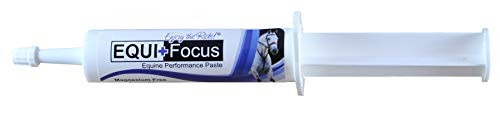 Equine Healthcare International EquiPlus Focus Paste 30cc