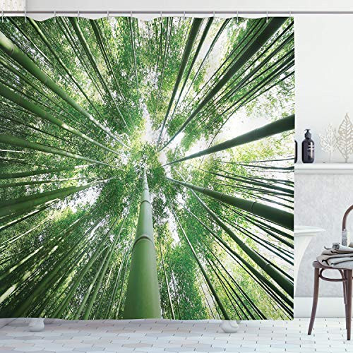 Ambesonne Bamboo Shower Curtain Tropical Rain Forest Tall Bamboo Trees in Grove Exotic Style Nature Theme Image Cloth Fabric Bathroom Decor Set with Hooks 70 inch Long Green
