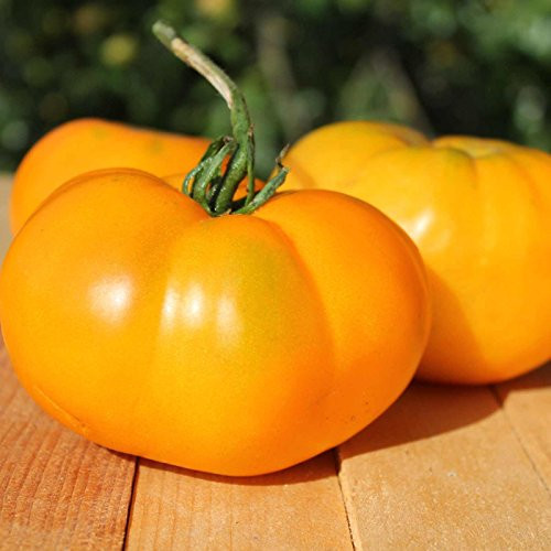 Tomato Garden Seeds - Brandywine Yellow - 0.25 Oz - Non-GMO Heirloom Vegetable Gardening Seed