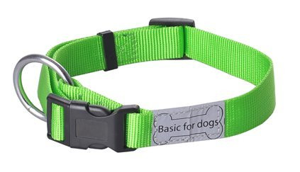 Wouapy Basic Line Collar for Dog Green Collar in 12 mm Width for Neck of 20/30 cm