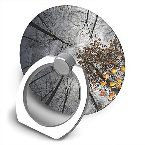 360 Degree Finger Stand Cell Phone Ring Holder Car Mount with Hook for Smartphone-Sky Through The Tree