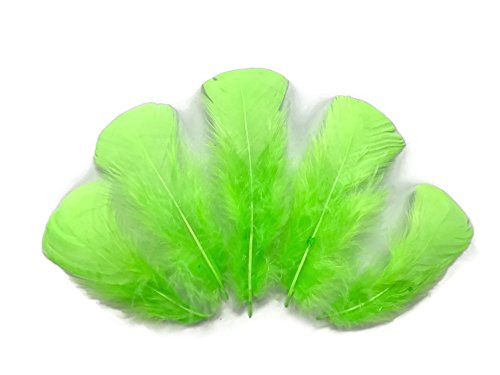 1/4 Lb. - Chartreuse Green Dyed Turkey T-Base Body Plumage Wholesale Feathers -Bulk- Costume Carnival Craft Supply - Moonlight Feather