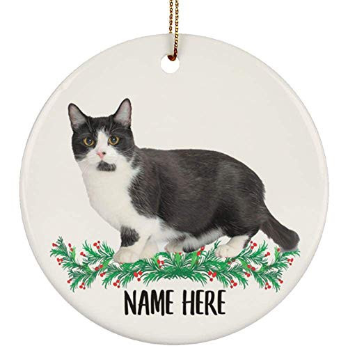 Lovesout Funny Personalized Name Munchkin Cat Black White Christmas Tree Ornament Circle Ceramic