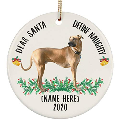 Lovesout Funny Personalized Name Black Mouth Cur Fawn Dear Santa Define Naughty Christmas 2020 Ornament White Ceramic Circle