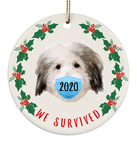Lovesout We Survived 2020 Quarantine Coton De Tulear White Blue Christmas Tree Ornament Circle Ceramic
