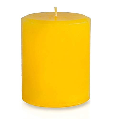 JenSan Fireside Highly Scented Pillar Candle  Handmade  Hand-poured - Decorative