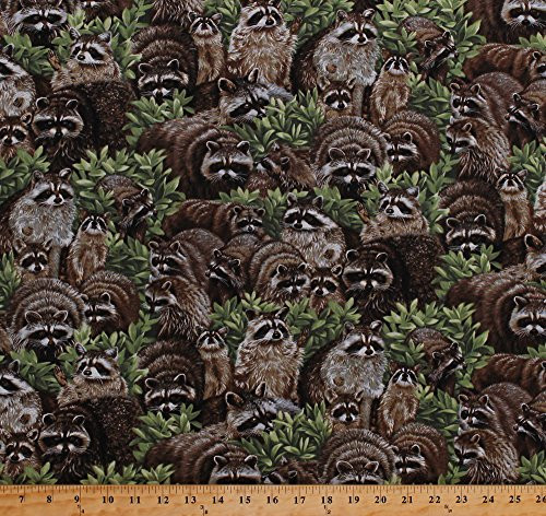 Cotton Raccoons Racoons Coons Wildlife Animals Scenic Nature Backyard Bandits Born Free Cotton Fabric Print by The Yard -112-32021-