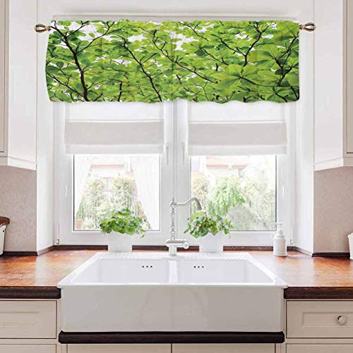 carmaxs Leaves Valences Close-up Tree Leaves from an Uprising Angle High Plants Summer Fresh Environment Habitat 42 inch x 18 inch Green