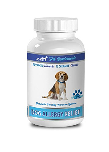dog allergy relief chews - ALLERGY AND ITCH RELIEF FOR ALL DOGS - ANY SIZE - WITH TURMERIC AND QUERCETIN - IMMUNE BOOST - licorice root extract dogs - 1 Bottle -75 Tablets-