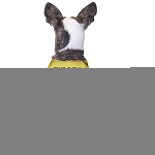 Agilitynoun Fiesta Siesta Tequila Puppy Pet Shirt Dog ClothesDoggy Tank Top CoatsJumpsuit Washed Vests