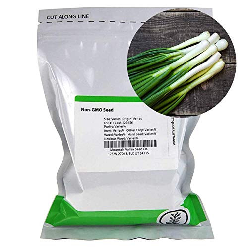 Tokyo Long White Bunching Onion Garden Seeds - 4 Oz ~33600 Seeds - Non-GMO Heirloom Vegetable Gardening  and  Micro Greens Seed