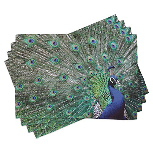 Lunarable Peacock Place Mats Set of 4 Peacock Displaying Elongated Majestic Feathers Open Wings Picture Washable Fabric Placemats for Dining Table Standard Size Brown Navy