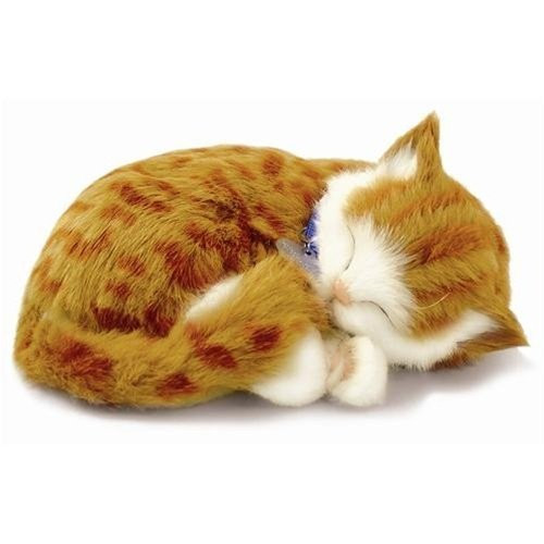 Perfect Petzzz Orange Tabby Soft Toy