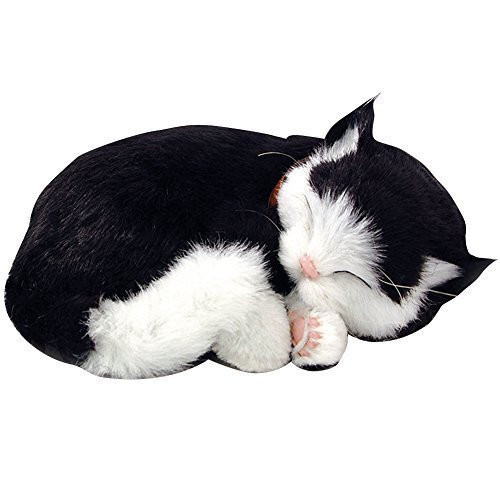 Breathing Cat by Perfect Petzzz