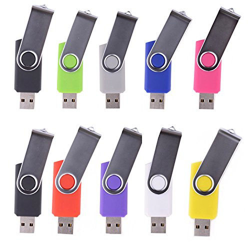 LHN -Bulk 10 Pack- 2GB Swivel USB Flash Drive USB 2.0 Memory Stick -9 Colors-