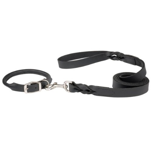 Casual Canine Leather Dog Leash 6-Feet x 5/8-Inch Lead Brown