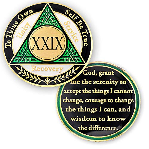 29 Year AA Medallions Sobriety Coin - Alcoholics Anonymous Chips - Twenty Nine Year Coins - Green White Black Token