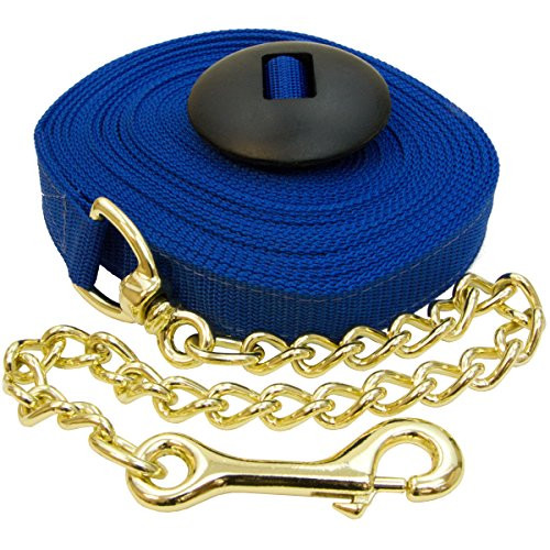 Intrepid International Poly Lunge Line with Chain and Rubber Stopper Blue