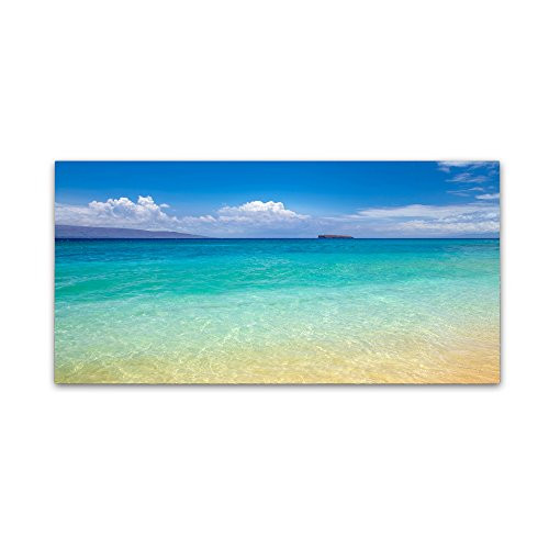 Trademark Fine Art Blue Beach Maui by Pierre Leclerc, 12x24-Inch Canvas Wall Art Trademark Fine Art Blue Beach Maui by Pierre Leclerc, 12x24-Inch Canvas Wall Art