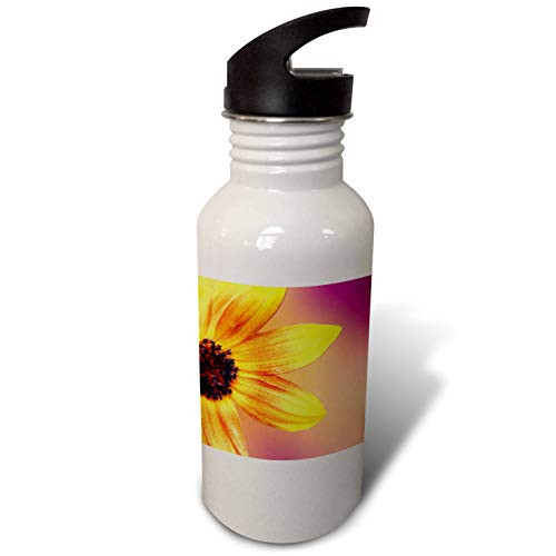 3dRose Macro Photograph of one Side of a Sunflower with a Pink. - Water Bottles -wb_336699_1-