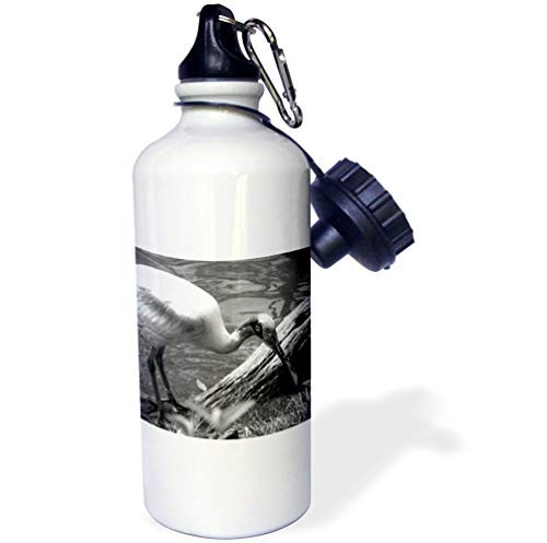 3dRose Susans Zoo Crew Animals - Rosetta Spoonbill Black and White Side View Head Down Against Water Left - 21 oz Sports Water Bottle -wb_182116_1-