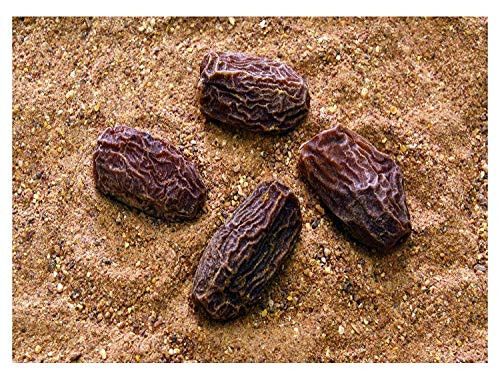 Leeve Dry Fruits Dry Dates Kharik Powder - 400 Gms