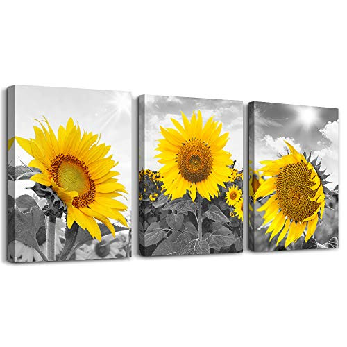 Bathroom Wall Decor Canvas Wall Art for Bedroom kitchen Living Room Wall Decoration Black and White Triptych Flower Yellow Sunflower Pictures Canvas Prints 3 Piece Set Artwork for Walls Ready to Hang Bathroom Wall Decor Canvas Wall Art for Bedroom kitchen Living Room Wall Decoration Black and White Triptych Flower Yellow Sunflower Pictures Canvas Prints 3 Piece Set Artwork for Walls Ready to Hang