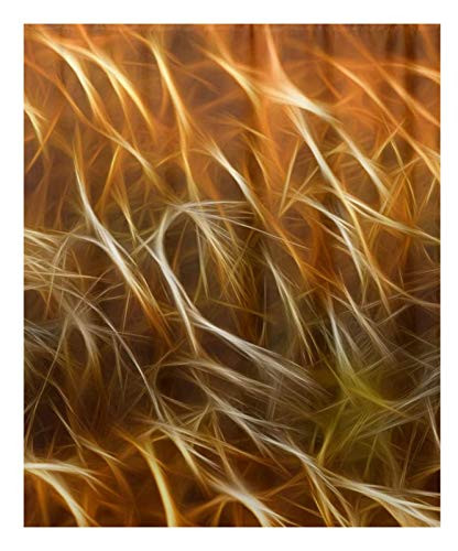 Nebulous Fog Rings Circle Jigsaw Puzzle 300 Pieces Puzzle for Kids and Adult