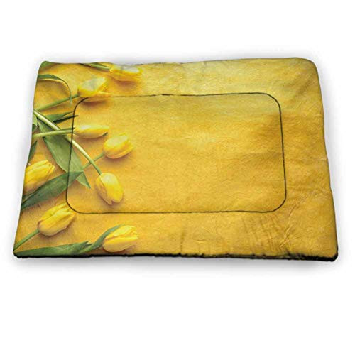 Dog Beds Crate Pad Mat Valentines Exceptionally Hygienic Non-Slip Romantic Abstract Pattern with Hearts Birds and Swirled Lines Artistic Use for Dogs Cat PetAll Seasons Black Red White -21 inchx14 inch-