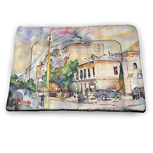 Pet Bed Cushion Cat Bed Urban Soft Crate Mat with Anti-Slip Bottom Watercolor Painting of a City Street with Buildings and Cars Soft Artistic Display Ideal for Dog Crates Multicolor -21 inchx14 inch-