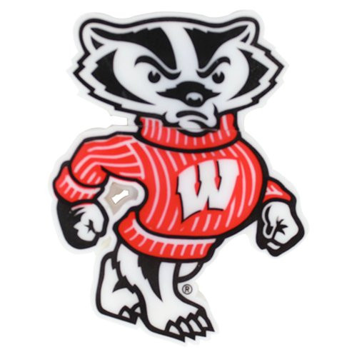 Flashscot NCAA Wisconsin Bucky Shape USB Drive Wisconsin 16GB