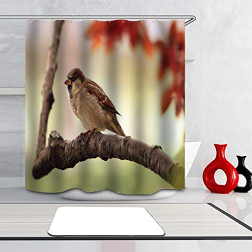 PocaBlife Miniature Birds Mountain Sparrows Curtains Waterproof Colorful Cloth Fabric Durable Shower Custom Bathroom Decor Set with 12 Hooks 60 x 72 inch