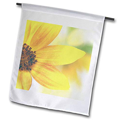 3dRose Faded Macro Photograph of The Side of one Sunflower. - Flags -fl_337288_2-