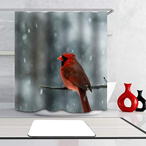 PocaBlife Red Bird The North American Linnet on The Branches of Winter Curtains Waterproof Colorful Cloth Fabric Durable Shower Custom Bathroom Decor Set with 12 Hooks 66 x 72 inch