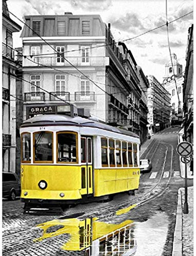 Diamond Painting Tool Kit Diamond Painting Tool Kit Flower Embroidery Display Flower Rhinestone Mosaic Diamond40X50Cm