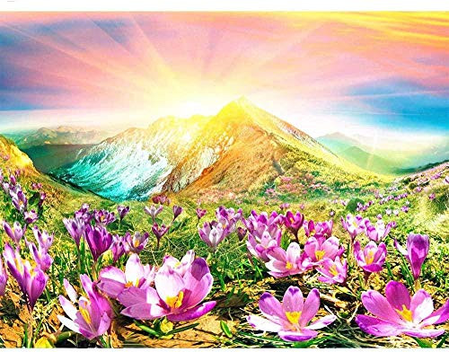 DIY 5D Diamond Painting Diamond Painting Kit Diamond Display Flower Background Diamond Embroidery Home Decoration Mosaic Diamond40X50Cm