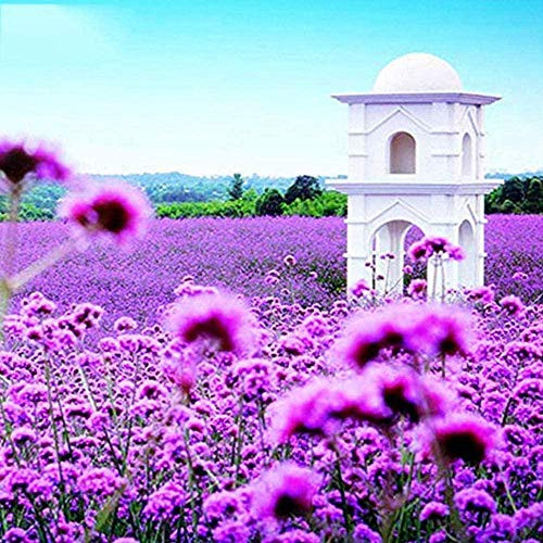 DIY Diamond Drawing Kit Diamond Painting Kit Display Diamond Embroidery Diamond Landscape Flower Embroidery Diamond Home Decoration Plant Mosaic Diamond40X50Cm