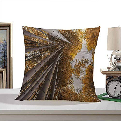 StarsART Square Cushion Case  BambooBottom to Top Bamboo Grove Fall Landscape Potential for Improvement Symbol PrintYellow Brown 16 inchx16 inchSoft and Breathable StarsART Square Cushion Case  BambooBottom to Top Bamboo Grove Fall Landscape Potential for Improvement Symbol PrintYellow Brown 16 inchx16 inchSoft and Breathable