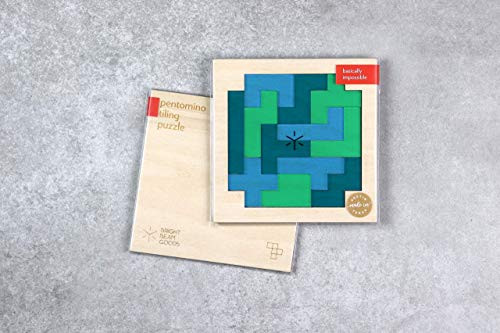Earth Pentomino Puzzle