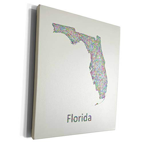 3dRose David Zydd - Map Designs - Florida State Map - colorful line art graphic design - Museum Grade Canvas Wrap -cw_296056_1-