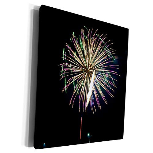 3dRose Danita Delimont - Holiday - USA Minnesota Mendota Heights Fireworks Display - Museum Grade Canvas Wrap -cw_259548_1-