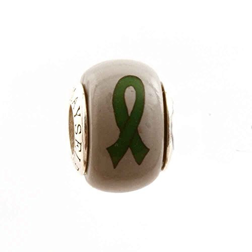 Green Ribbon Awareness Kidney Cancer Organ Donations Leukemia Cerebral Palsy Mental Health Awareness Ribbon Bead Charm for Add-A-Bead Bracelets Clay and Sterling Silver by MAYselect Green Ribbon Awareness Kidney Cancer Organ Donations Leukemia Cerebral Palsy Mental Health Awareness Ribbon Bead Charm for Add-A-Bead Bracelets Clay and Sterling Silver by MAYselect