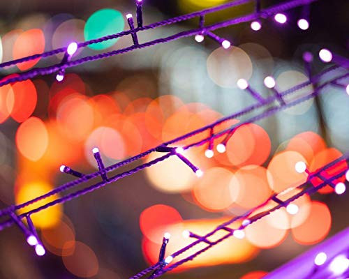 ZKAIAR Paint by Numbers for Adults and Kids DIY Oil Painting - Garland Glare Light Circles Macro 16X20 Inch Painting Canvas Acrylic Paint ZKAIAR Paint by Numbers for Adults and Kids DIY Oil Painting - Garland Glare Light Circles Macro 16X20 Inch Painting Canvas Acrylic Paint