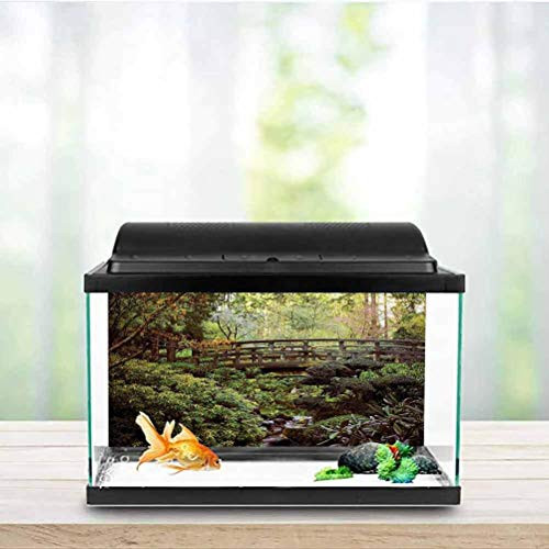 Japanese Decor Collection Aquarium 3D Backdrops Wood Bridge in The Forest Serene Arboretum Relax Rest Spiritual Route Peace Landscape Side Aquarium Poster Background Decoration Green Brown