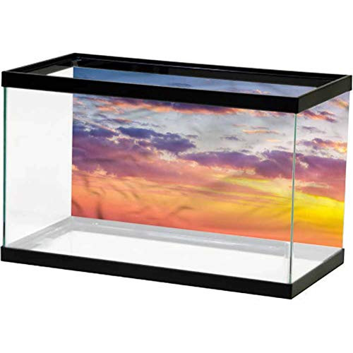 ScottDecor Sky Aquarium Background Sticker Tranquility Idyllic View Side Aquarium Poster Background Decoration L24 X H24 Inch
