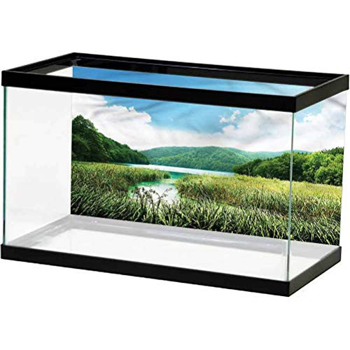 ScottDecor Landscape Underwater World Backdrop Meadow Peaceful Nature Side Aquarium Poster Background Decoration L24 X H24 Inch