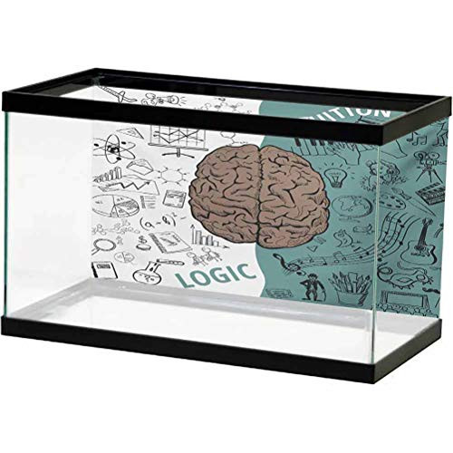 Modern Aquarium Background Sticker Brain Image with Left and Right Side Music Logic Artwork Side Science Print 3D Double-Sided Adhesive Wallpaper White Teal Umber L30 X H12 Inch