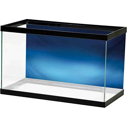 Navy Terrarium Background Ombre Style Deep Sea Ocean Underwater Themed Digital Colored Graphic Design Art Print Side Aquarium Poster Background Decoration Dark Blue L30 X H12 Inch